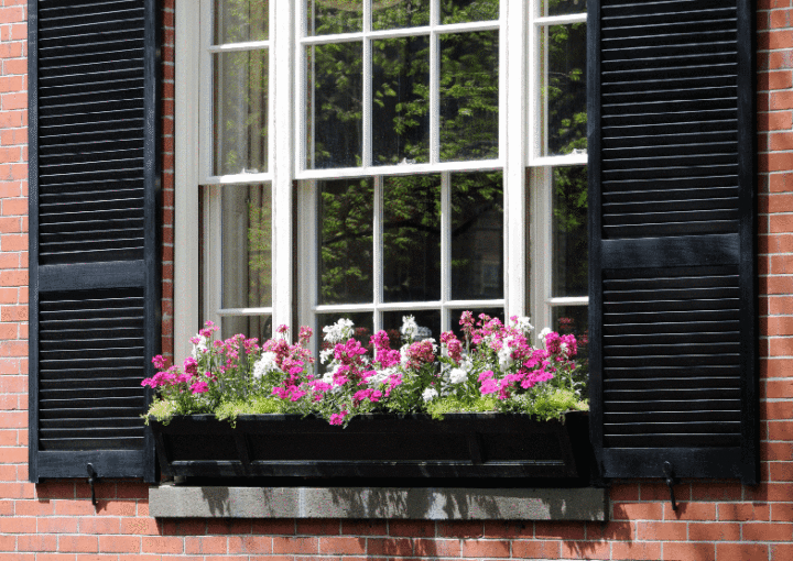 sash windows