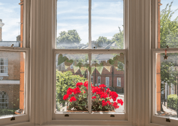 flowers in a sash window