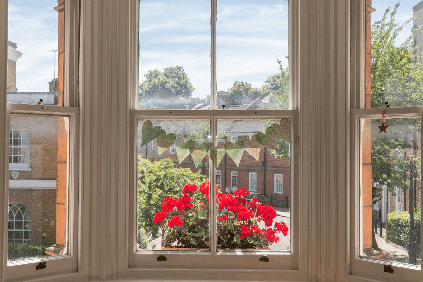 flowers in a sash window