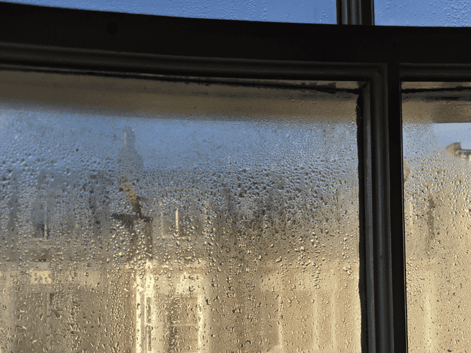 condensation on a window