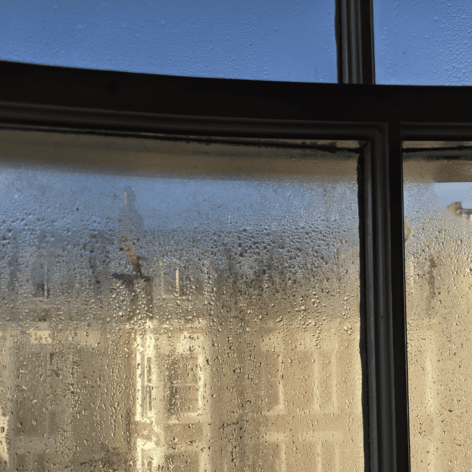 condensation on a window